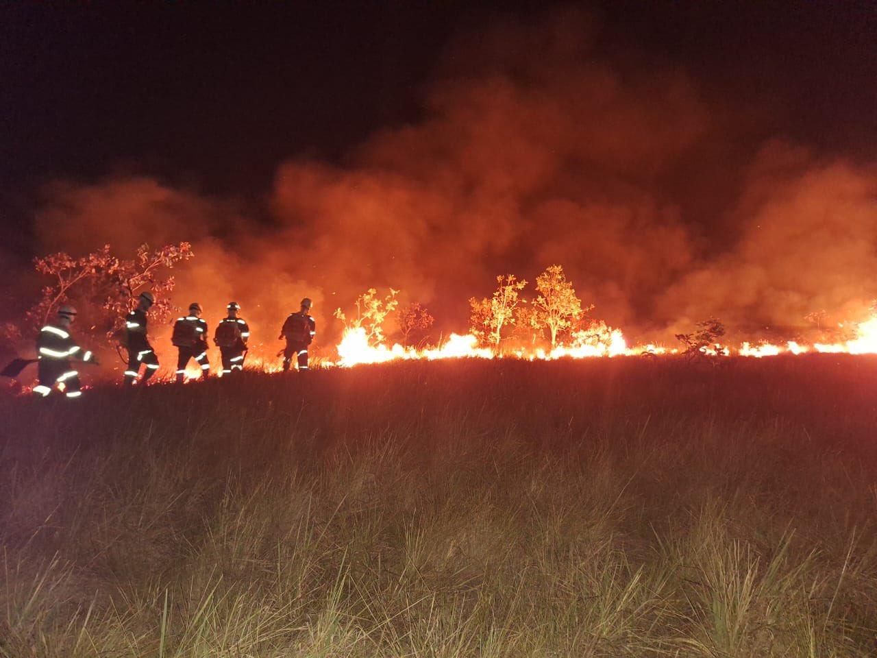 哥伦比亚比查达省发生森林火灾 超7000公顷林地受影响
